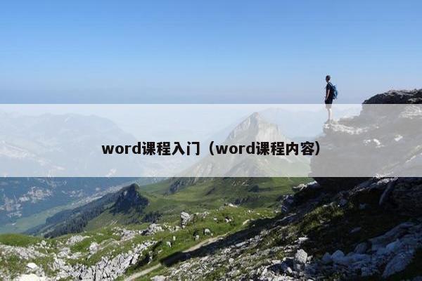 word课程入门（word课程内容）