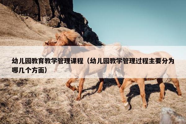 幼儿园教育教学管理课程（幼儿园教学管理过程主要分为哪几个方面）