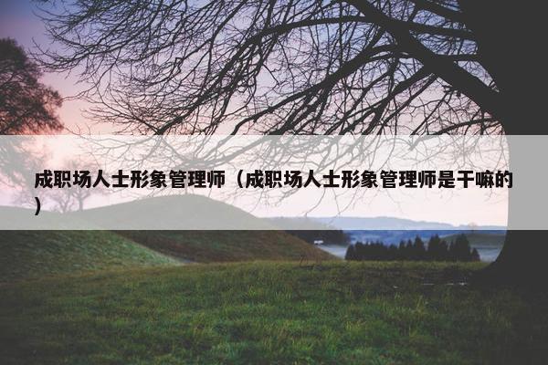 成职场人士形象管理师（成职场人士形象管理师是干嘛的）