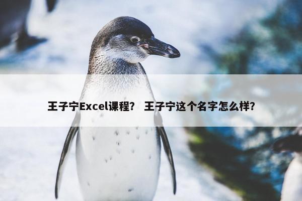王子宁Excel课程？ 王子宁这个名字怎么样？