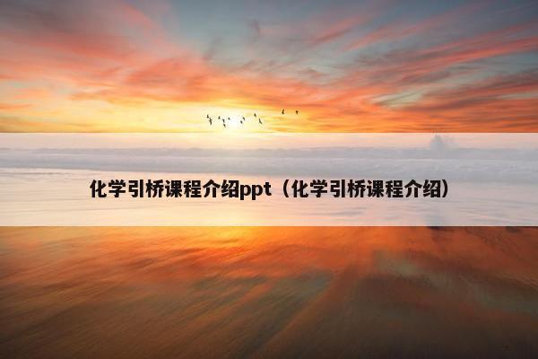 化学引桥课程介绍ppt（化学引桥课程介绍）