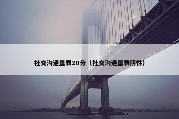 社交沟通量表20分（社交沟通量表阴性）