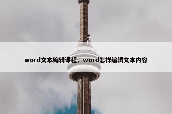 word文本编辑课程，word怎样编辑文本内容