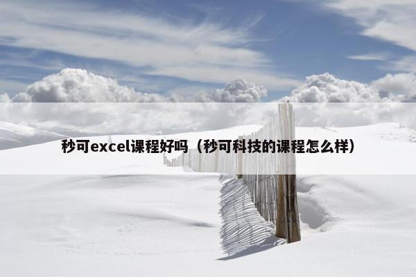 秒可excel课程好吗（秒可科技的课程怎么样）