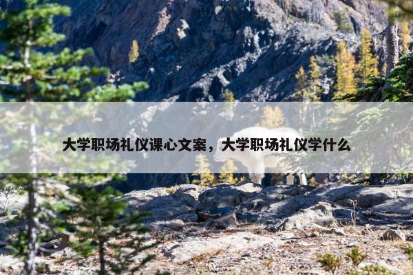 大学职场礼仪课心文案，大学职场礼仪学什么