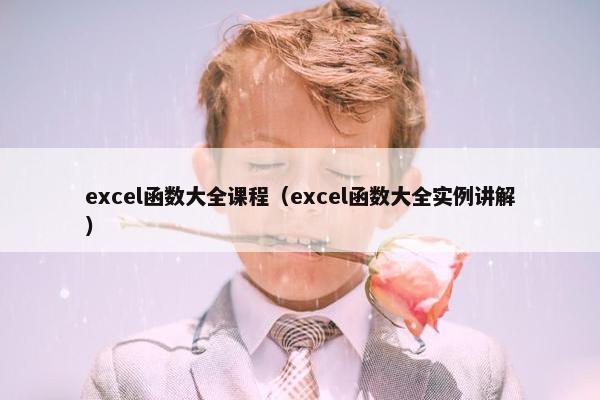 excel函数大全课程（excel函数大全实例讲解）