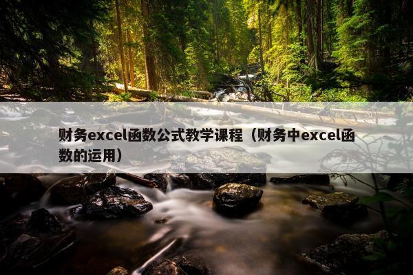 财务excel函数公式教学课程（财务中excel函数的运用）