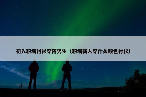 初入职场衬衫穿搭男生（职场新人穿什么颜色衬衫）