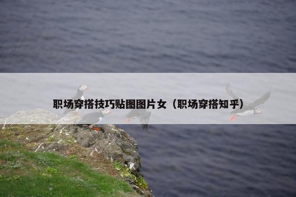 职场穿搭技巧贴图图片女（职场穿搭知乎）