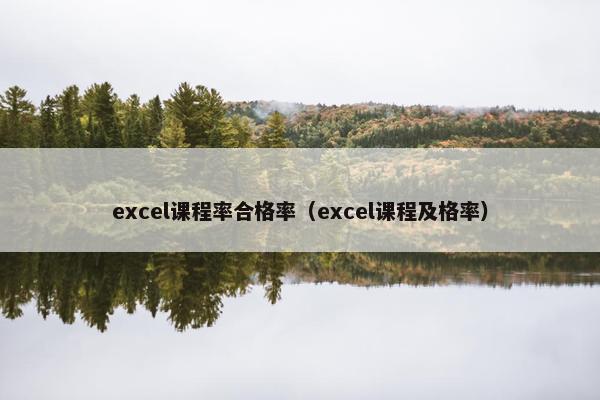 excel课程率合格率（excel课程及格率）
