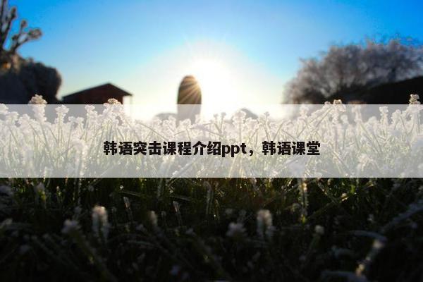 韩语突击课程介绍ppt，韩语课堂