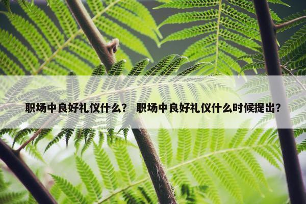 职场中良好礼仪什么？ 职场中良好礼仪什么时候提出？