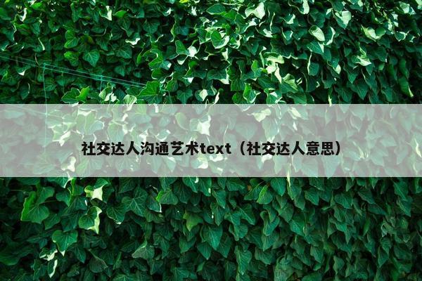 社交达人沟通艺术text（社交达人意思）