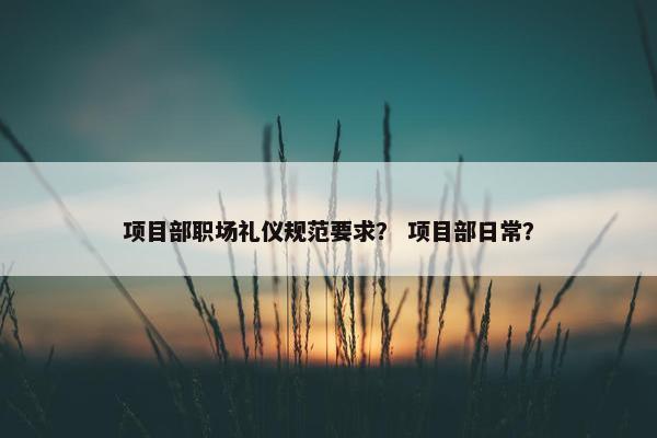 项目部职场礼仪规范要求？ 项目部日常？