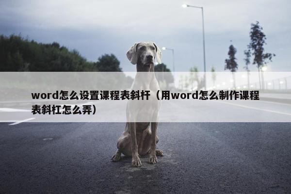 word怎么设置课程表斜杆（用word怎么制作课程表斜杠怎么弄）