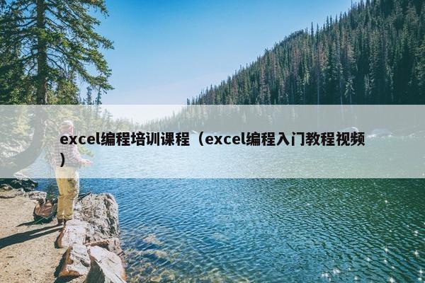 excel编程培训课程（excel编程入门教程视频）