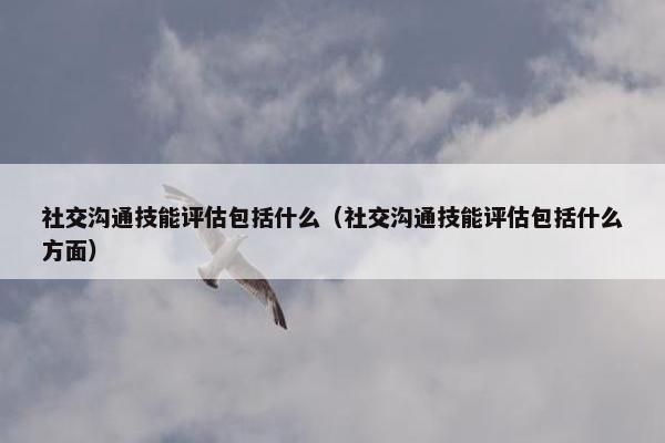 社交沟通技能评估包括什么（社交沟通技能评估包括什么方面）