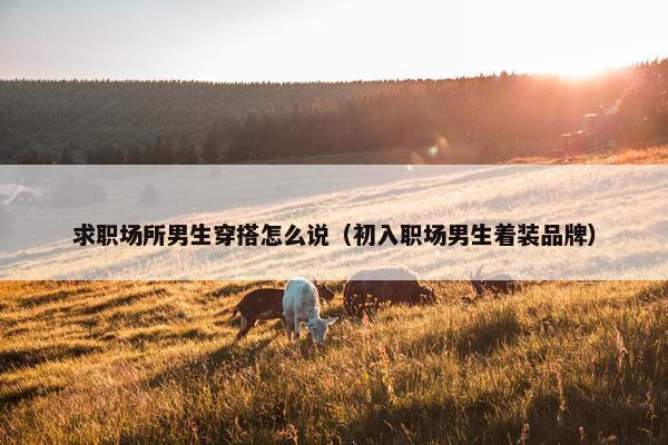 求职场所男生穿搭怎么说（初入职场男生着装品牌）