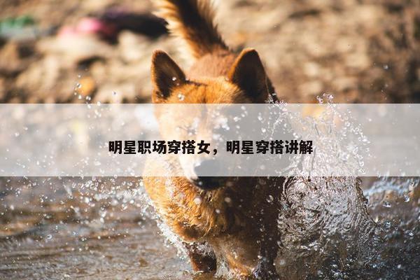 明星职场穿搭女，明星穿搭讲解