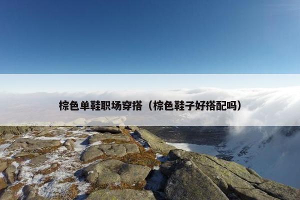 棕色单鞋职场穿搭（棕色鞋子好搭配吗）
