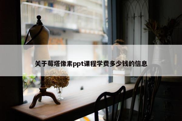 关于莓塔像素ppt课程学费多少钱的信息