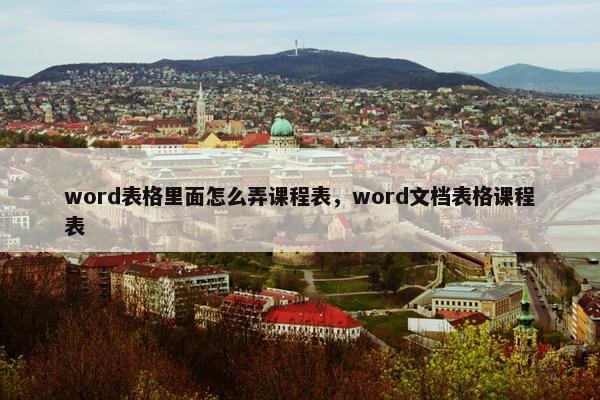word表格里面怎么弄课程表，word文档表格课程表