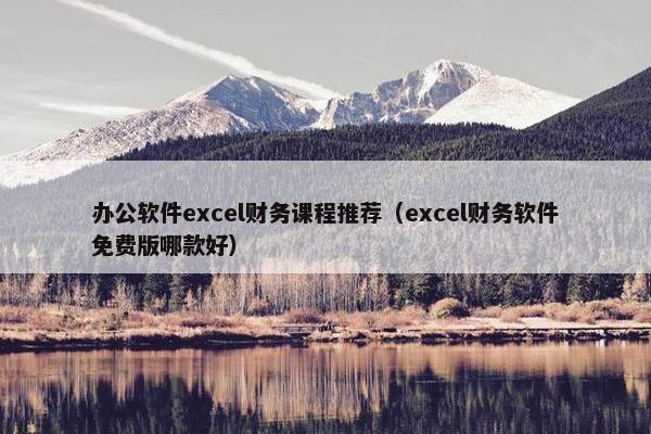办公软件excel财务课程推荐（excel财务软件免费版哪款好）