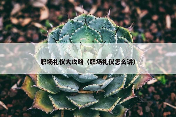 职场礼仪大攻略（职场礼仪怎么讲）