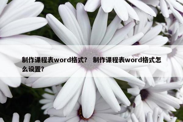 制作课程表word格式？ 制作课程表word格式怎么设置？