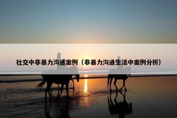 社交中非暴力沟通案例（非暴力沟通生活中案例分析）