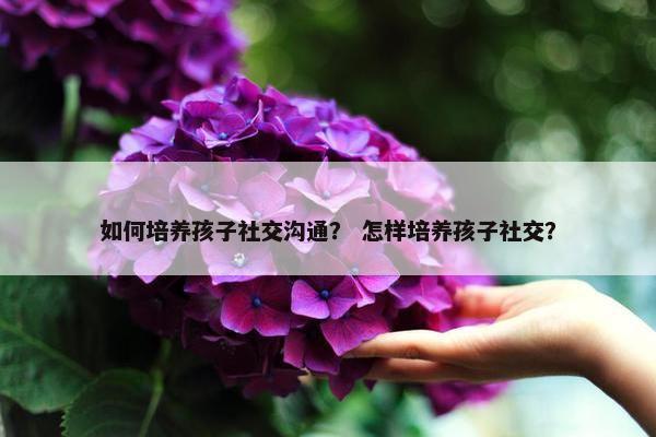 如何培养孩子社交沟通？ 怎样培养孩子社交？