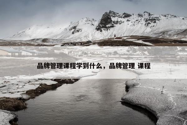 品牌管理课程学到什么，品牌管理 课程
