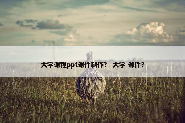 大学课程ppt课件制作？ 大学 课件？