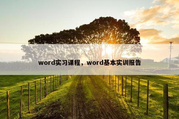 word实习课程，word基本实训报告