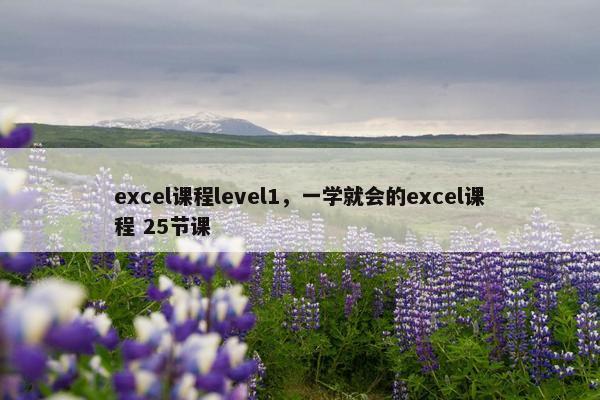 excel课程level1，一学就会的excel课程 25节课
