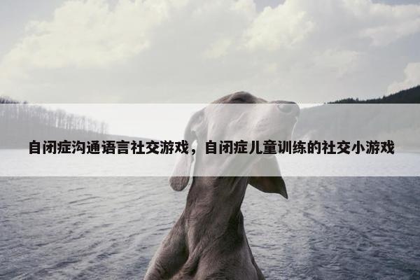 自闭症沟通语言社交游戏，自闭症儿童训练的社交小游戏