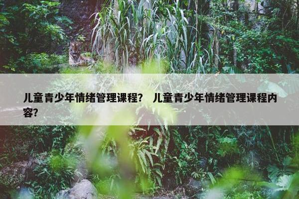 儿童青少年情绪管理课程？ 儿童青少年情绪管理课程内容？