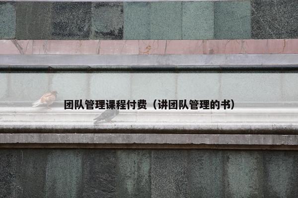 团队管理课程付费（讲团队管理的书）
