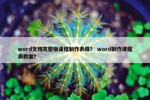 word文档完整版课程制作表格？ word制作课程表教案？