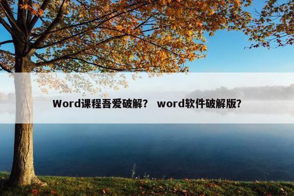 Word课程吾爱破解？ word软件破解版？