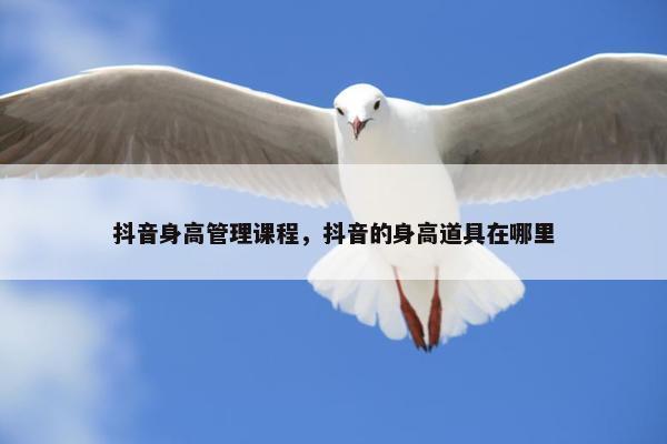 抖音身高管理课程，抖音的身高道具在哪里