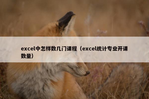 excel中怎样数几门课程（excel统计专业开课数量）