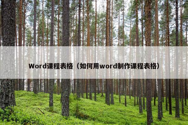 Word课程表格（如何用word制作课程表格）