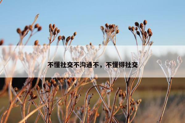 不懂社交不沟通不，不懂得社交