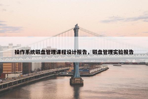 操作系统磁盘管理课程设计报告，磁盘管理实验报告