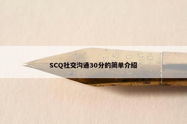 SCQ社交沟通30分的简单介绍