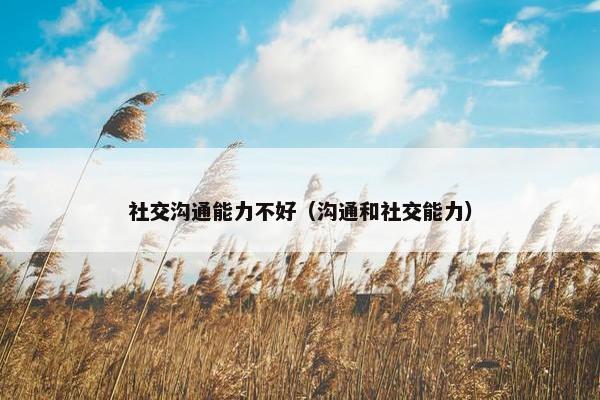 社交沟通能力不好（沟通和社交能力）
