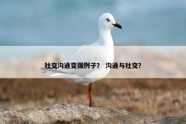 社交沟通变强例子？ 沟通与社交？