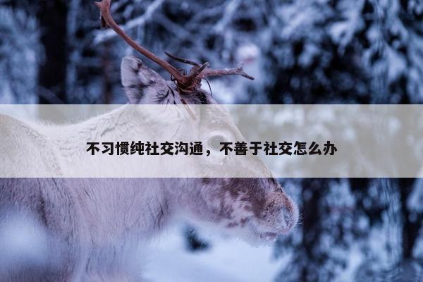 不习惯纯社交沟通，不善于社交怎么办