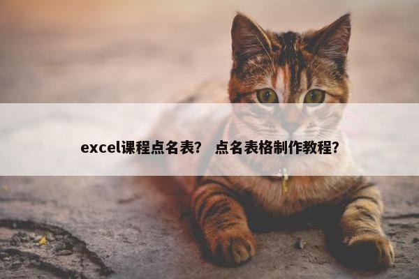 excel课程点名表？ 点名表格制作教程？